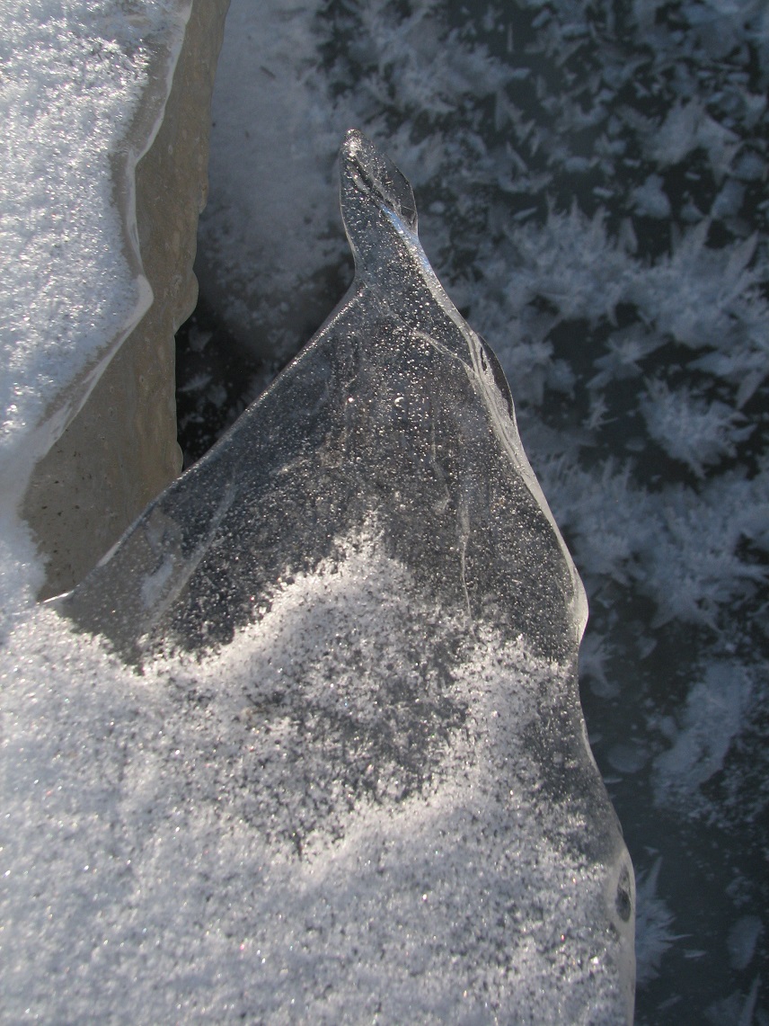 Ice feather Crystals